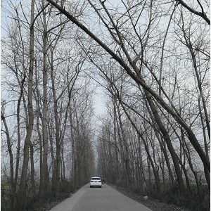 职业病防治法律制度，需要一场颠覆性大调整