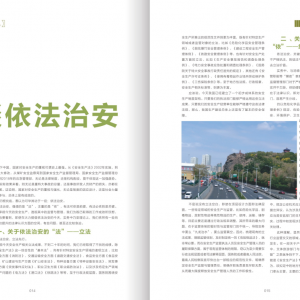 也谈依法治安