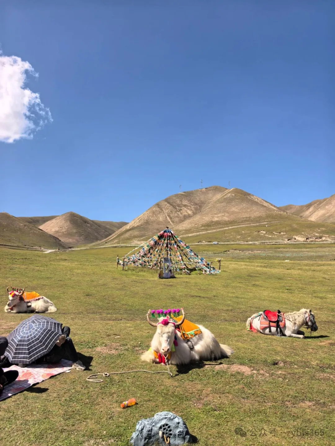 以案说法310｜最高法入库案例53：被同事打伤但未能认定工伤，谁对谁错？ ...