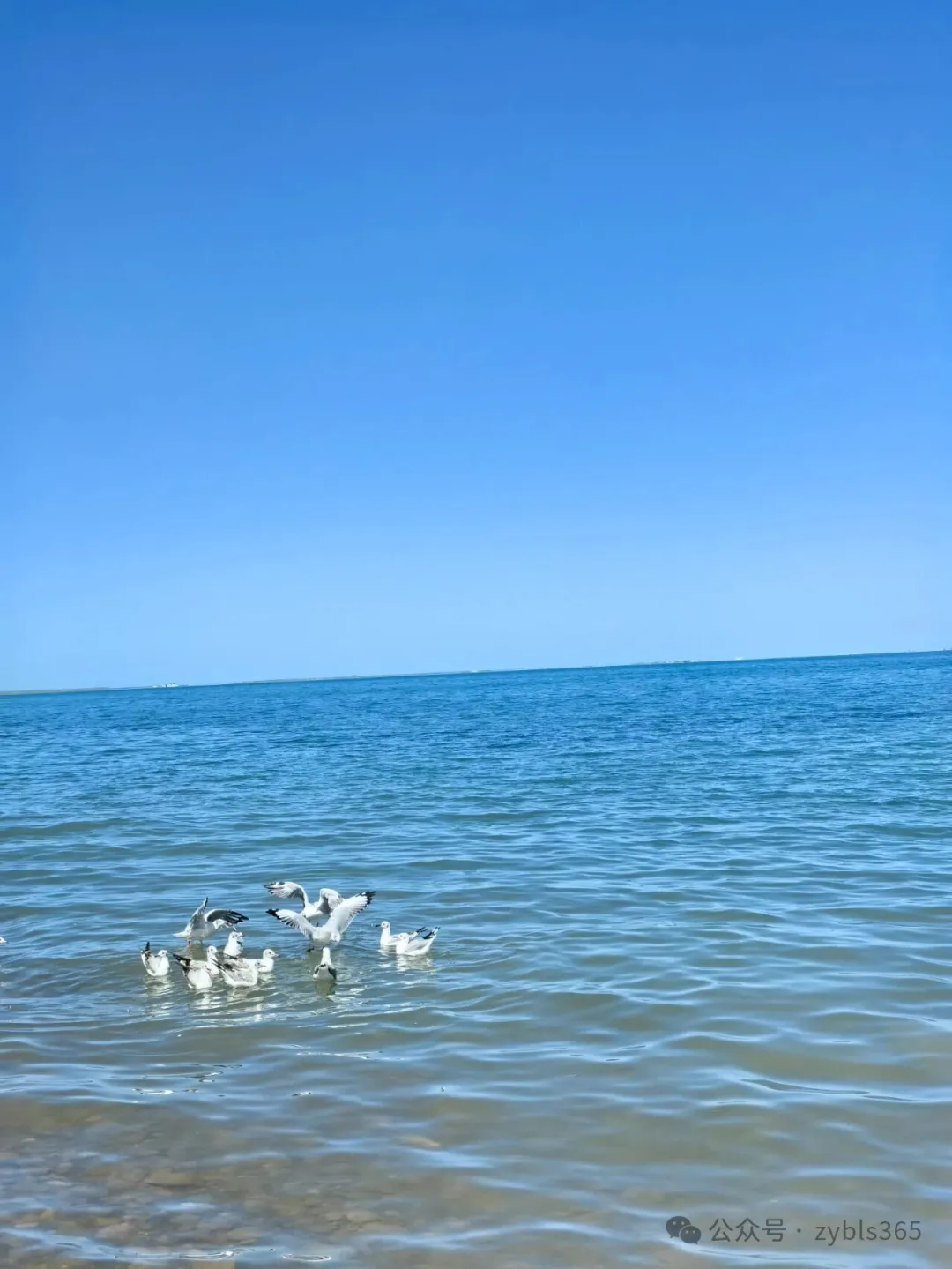 以案说法312｜最高法入库案例55：报备从来不是核发工伤待遇的法定条件 ...