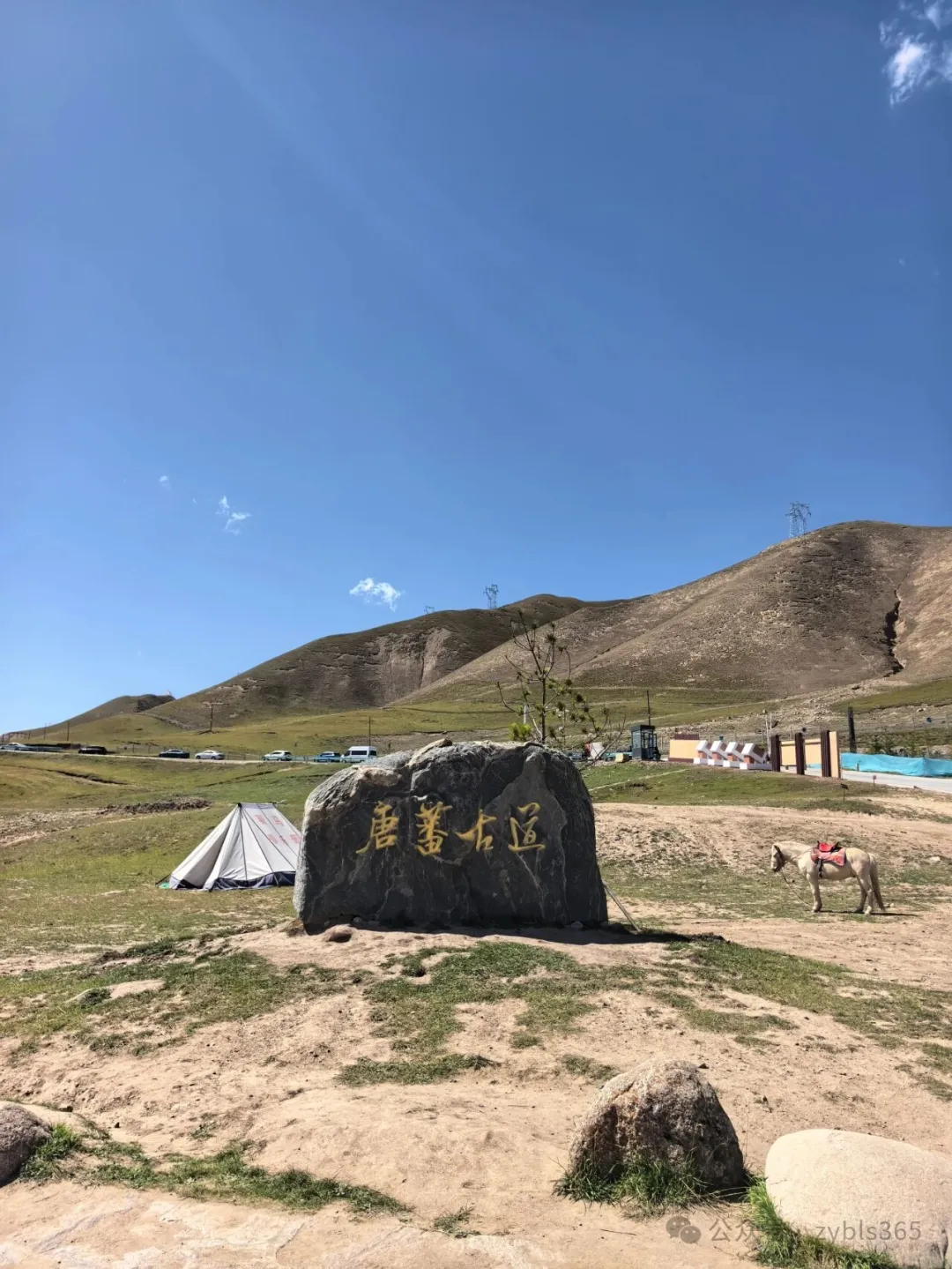 以案说法314｜最高法入库案例57：特定情形的工伤认定，不以确认劳动关系为前提 ...