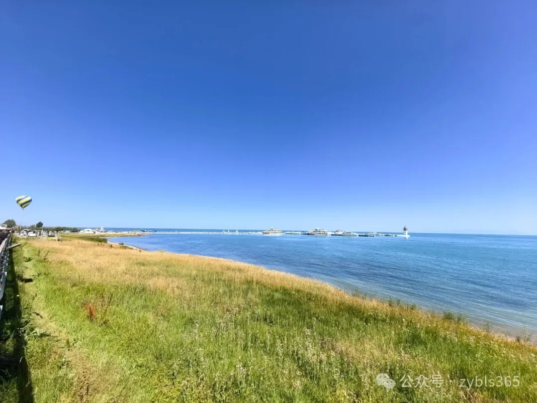 以案说法316｜最高法入库案例59：在工作时间工作场所，“帮忙”受伤，应属工伤 ...