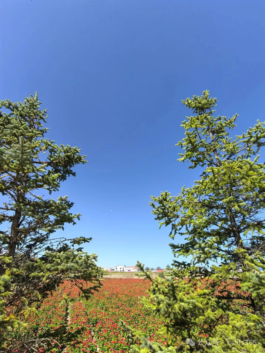 最高法入库案例67：劳动者超龄但未退休且持续参保，发生工伤事故的应享工伤待遇 ...