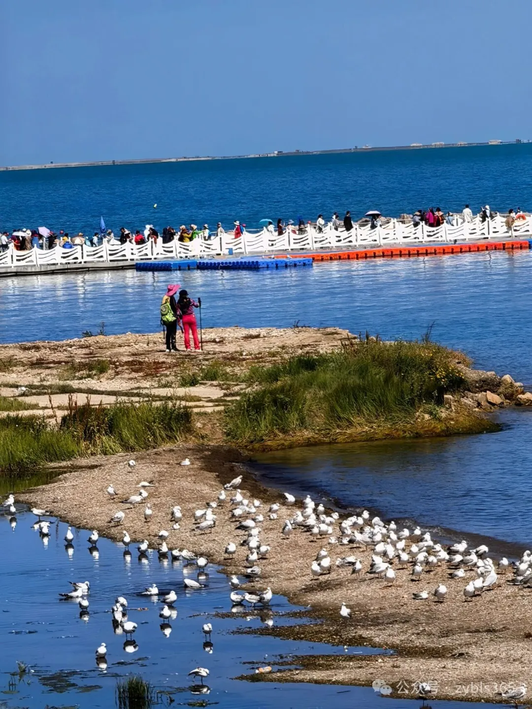 最高法入库案例69：试管婴儿也是人！社保核发待遇不得法外设置限制性条件 ...