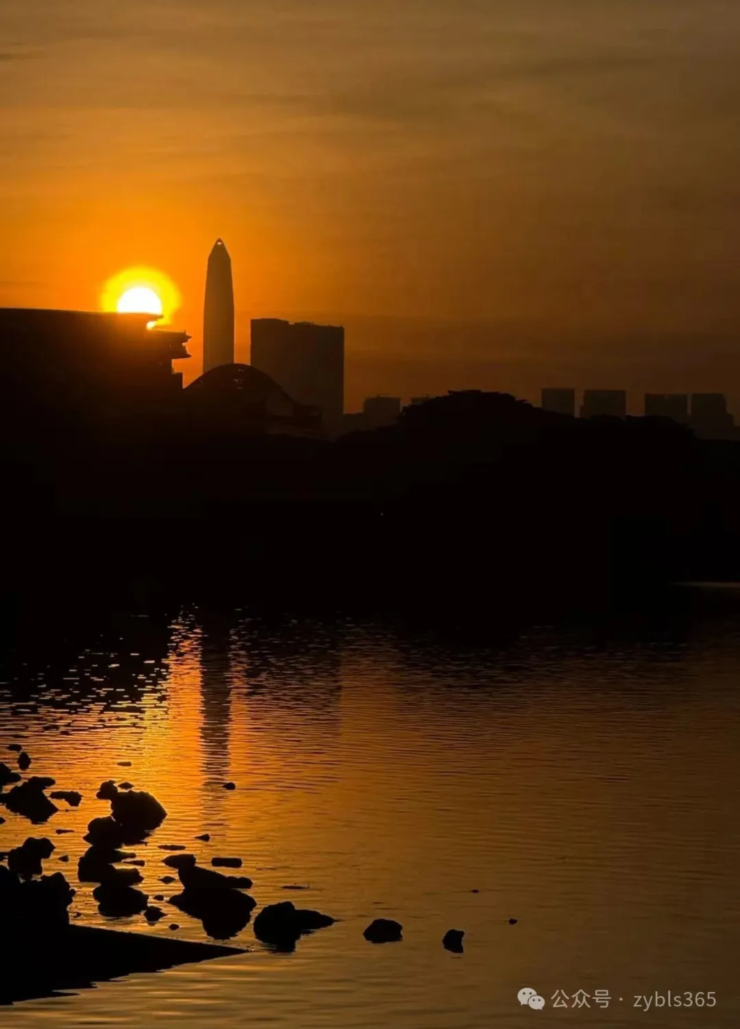 职业病相关纠纷12：民事赔偿、员工捐款均不应抵扣工伤待遇补偿款 ... ...