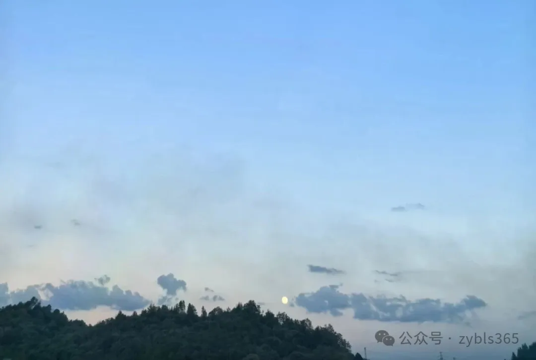 职业病相关纠纷13：商业保险合同未作除外约定的，中暑应属于意外伤害而非自身疾病 ...