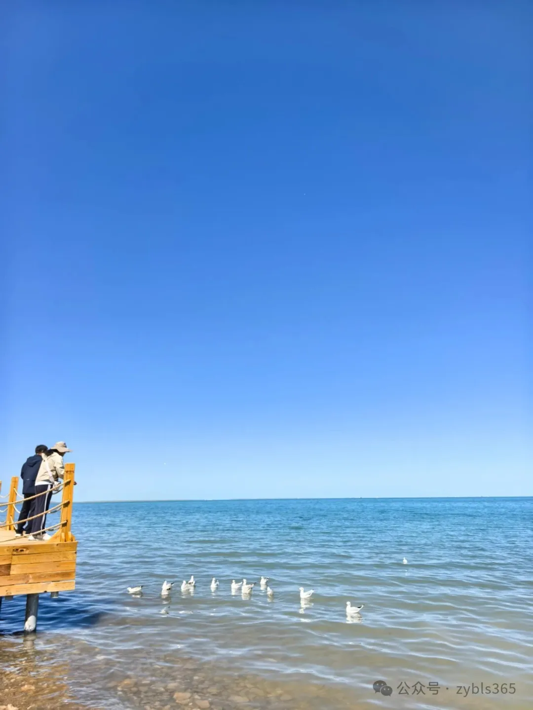 职业病相关行政诉讼9：劳鉴委以患者已离职拒绝受理复查鉴定申请，不合法！ ...