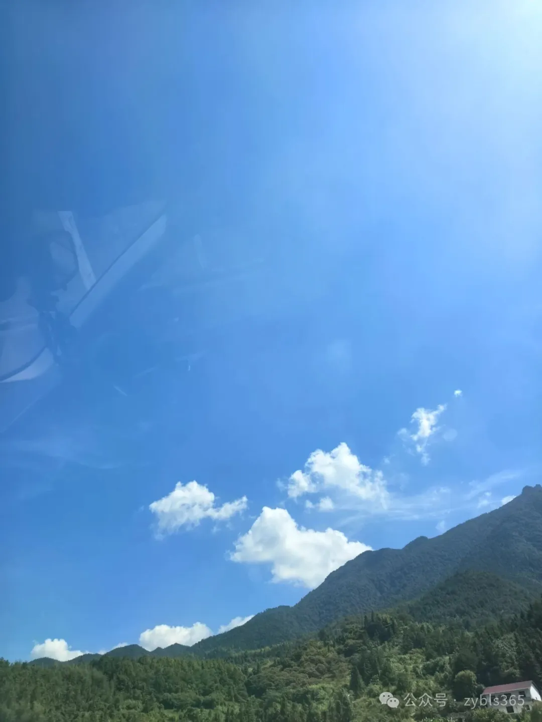 职业病涉刑事诉讼6：托人办假职业病证明花16万，获工伤待遇14万，全部退还后被判缓刑 ...