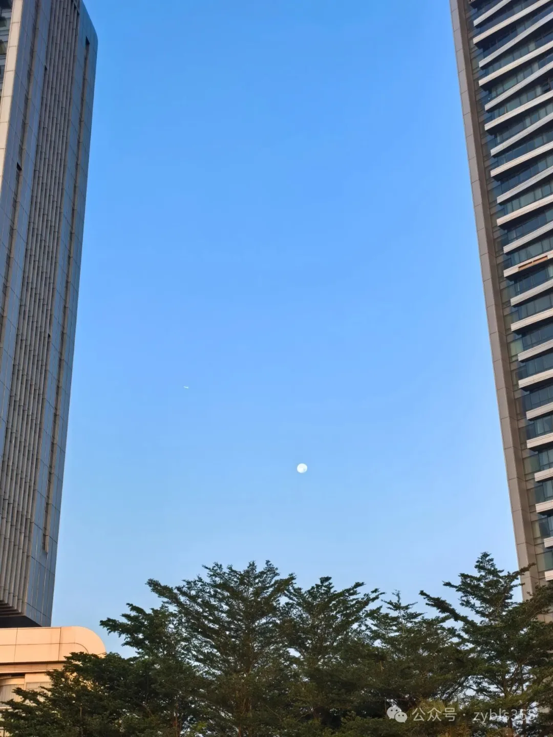 职业病涉劳动争议24：新疆这份判决，涉及职业病诊断审查范围的区分有待商榷 ...