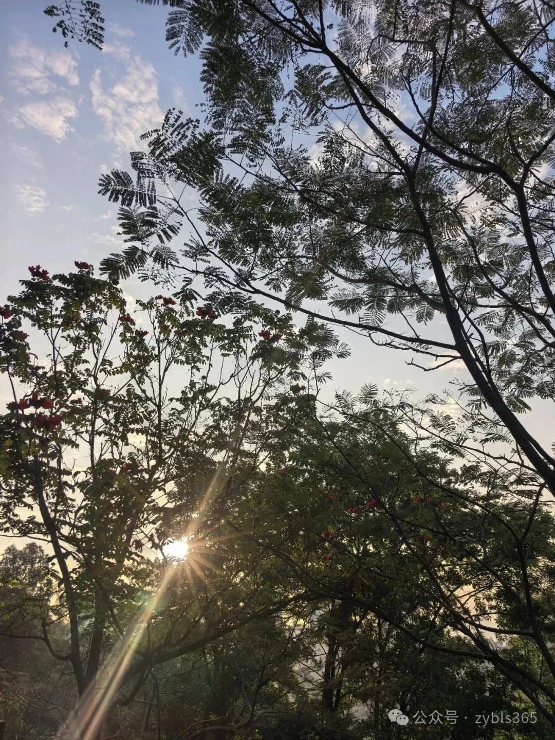 最高法入库案例120：注意人事争议与劳动争议的差异